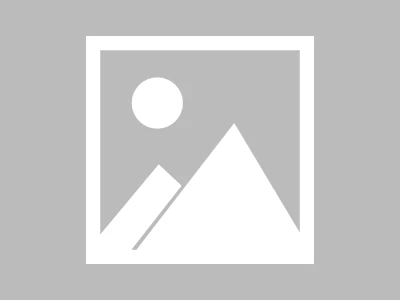 PLTR Earnings: AI Darling's Fate and What We Know