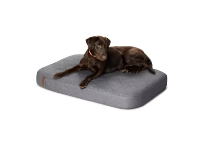 Orvis Is Closing 36 Stores: Why It's Happening and What It Means for Shoppers